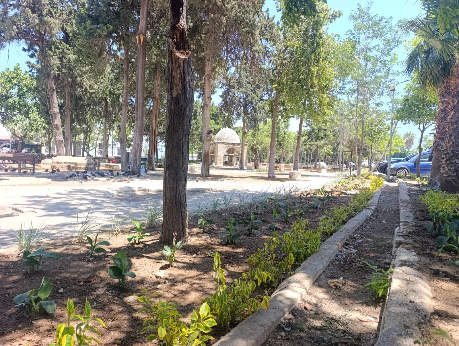 Girne Belediyesi’nden Baldöken Osmanlı Mezarlığı’na peyzaj düzenlemesi
