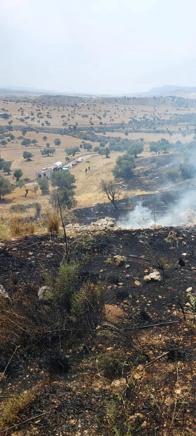 Taşkent’le Güngör arasındaki yangın söndürüldü