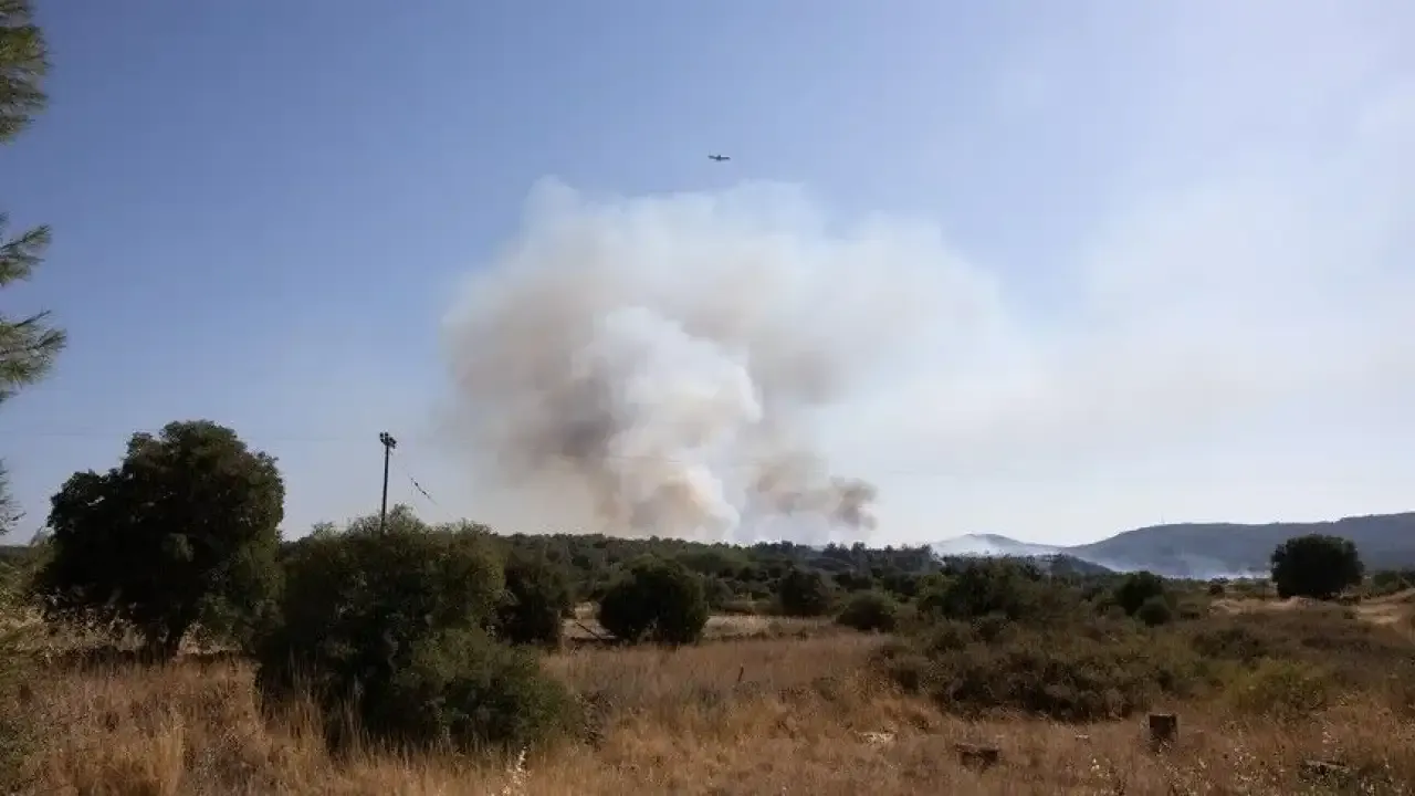 Midilli Adası'nda ormanlık alanda yangın çıktı